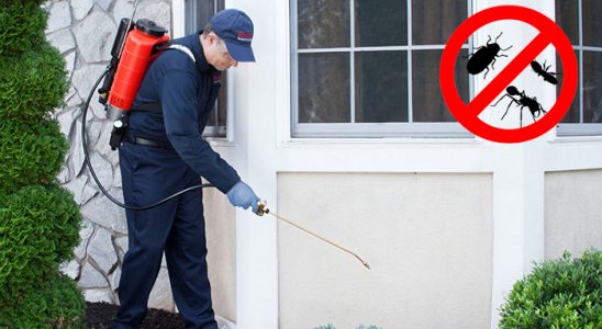 Muratpaşa Böcek ve Haşere İlaçlama böcek ilaçlama ve haşere kontrolü — ilaclama-tr.com